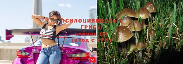 тгк Алексеевка