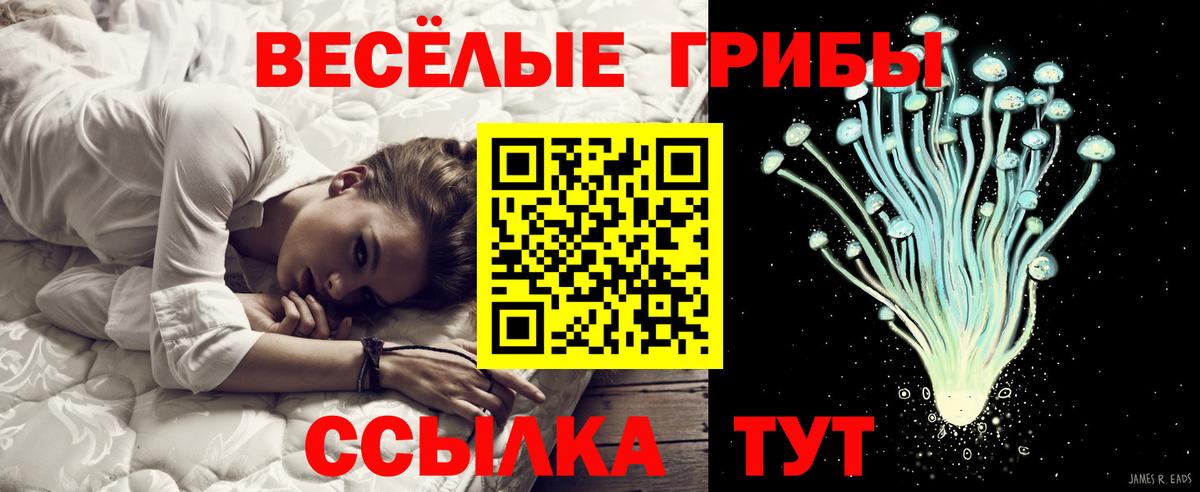 Галлюциногенные грибы ЛСД  Вход с VPN  Учалы 